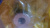 20191219_125725 20191219_125725