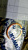 ND092125-0010