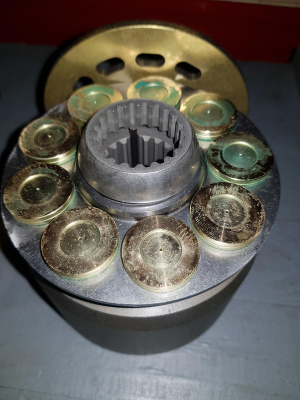 295-9547